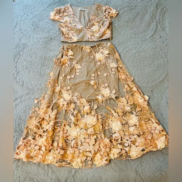 Dress The Population peach lace overlay with nude underneath top & skirt set. - Picture 2 of 9